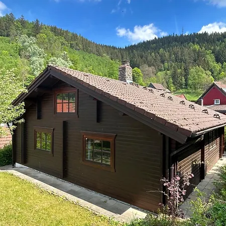 Gemuetliches Blockhaus Mit Naturgarten Im Harz וילדמן